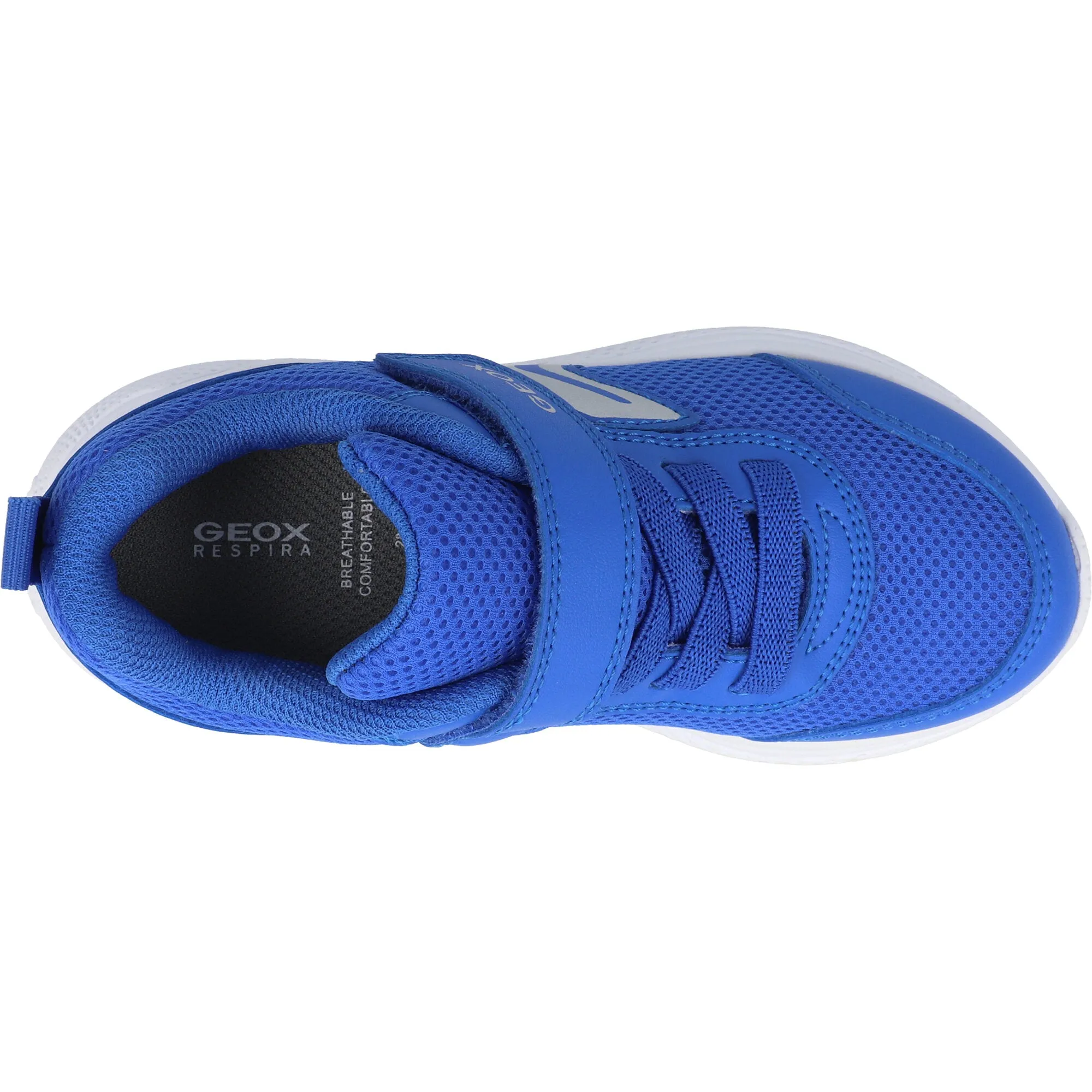 Geox Sprintye Junior Royal Blue Sneakers