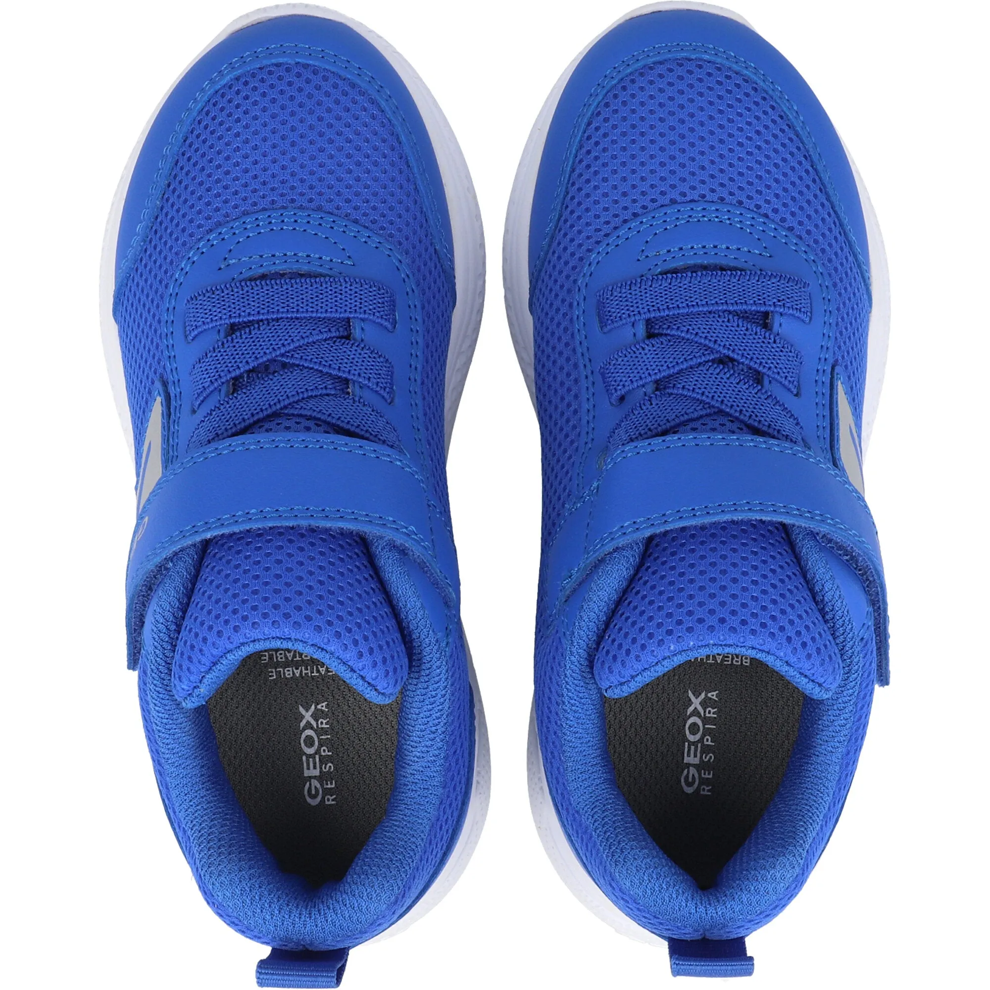 Geox Sprintye Junior Royal Blue Sneakers