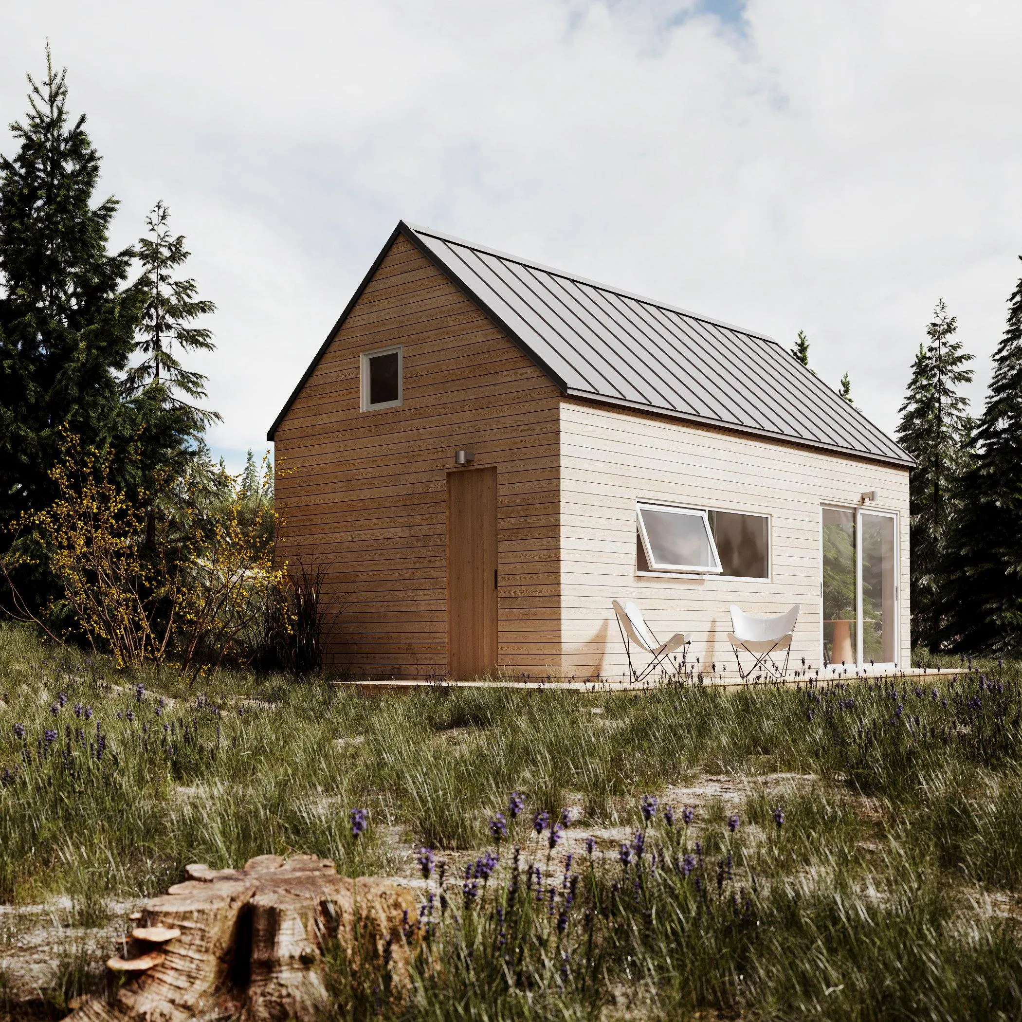 Modern Cottage