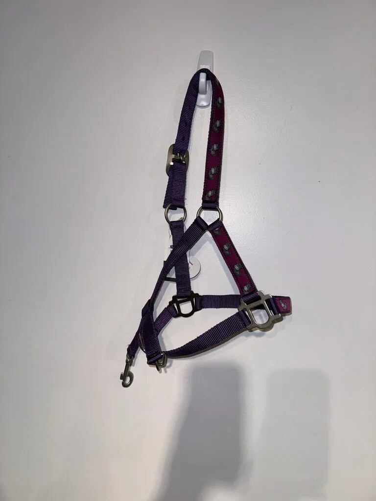 Purple Pony Halter