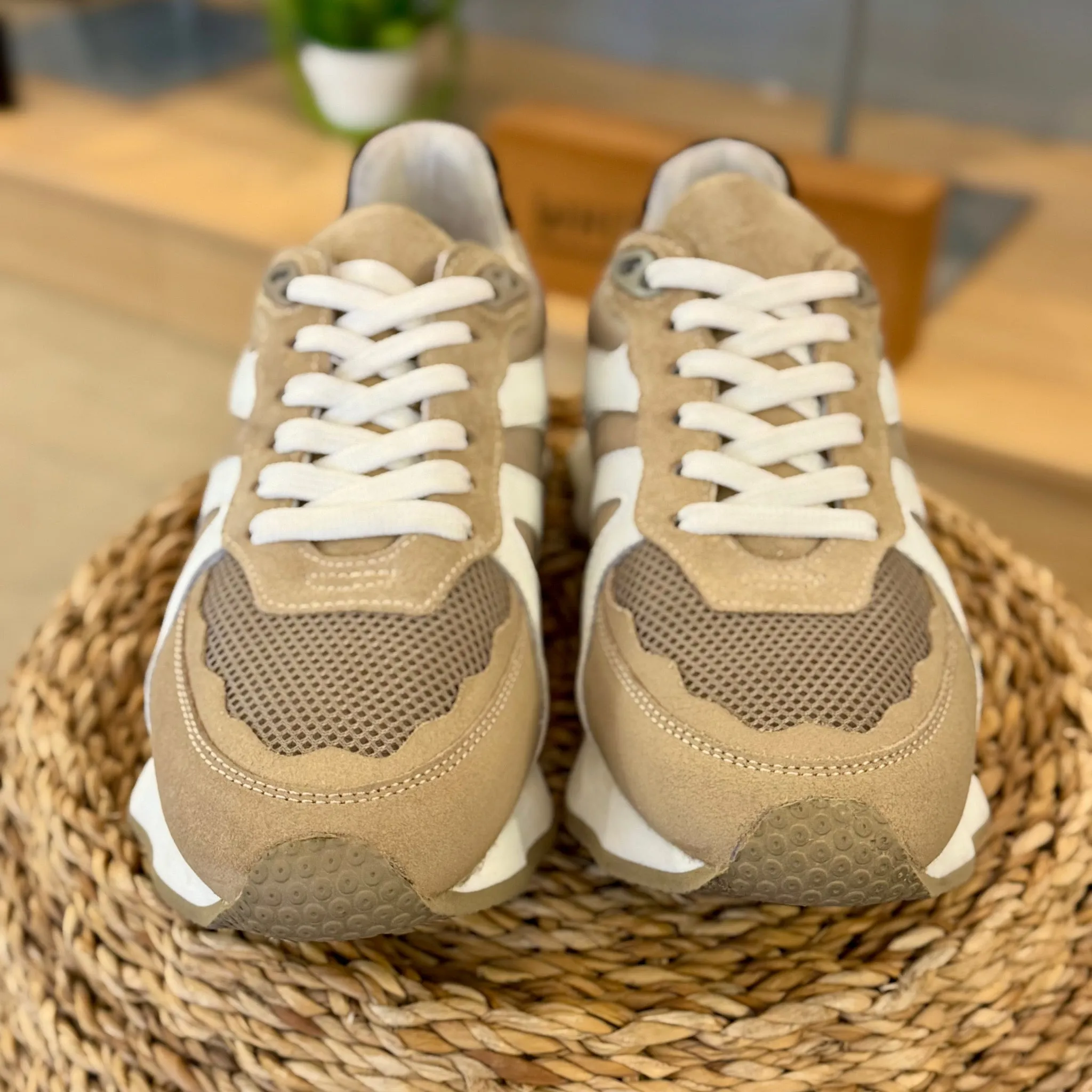 Ravel Innes Trainer