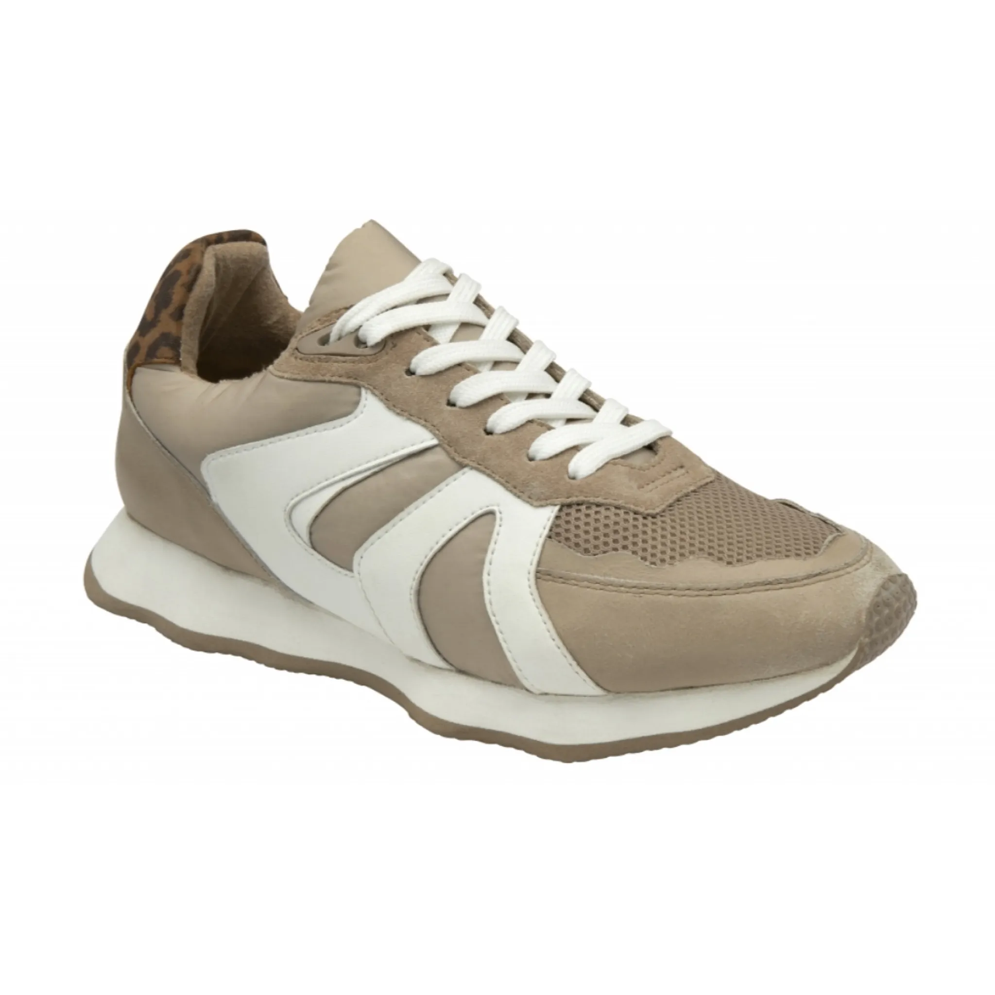 Ravel Innes Trainer