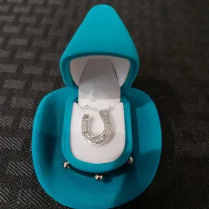 Silver Horseshoe Necklace