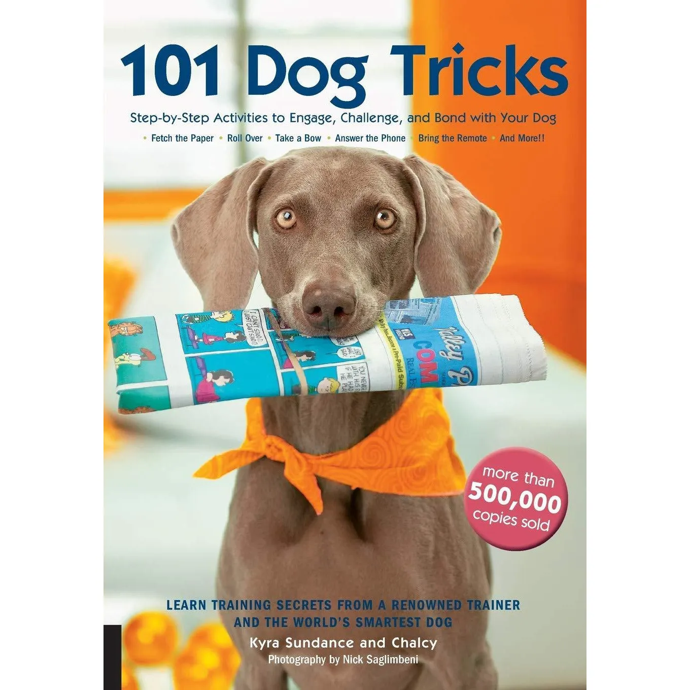 Test Your Dog, Easy Peasy Puppy Squeezy, The Perfect Puppy, 101 Dog Tricks 4 Books Collection Set