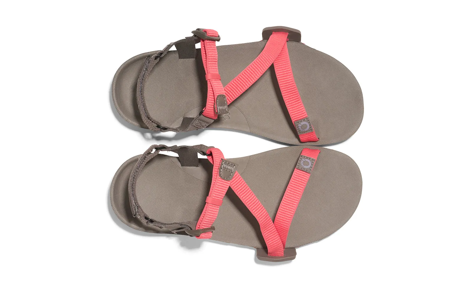 Xero Sandals - Z-Trail EV (Women)